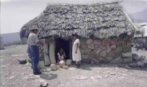 Mexique : Les Chinantecos (Chinantèques)