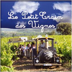 PETIT TRAIN DES VIGNES