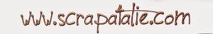 appel DT chez Scrapatalie