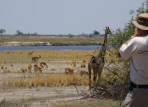 Acte 7.2 / Across Africa 2015 / Botswana