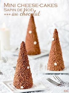 Ma bûche de Noël (3)