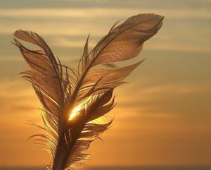 Derniers instants, dernier souffle