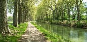 A la découverte du Canal du Midi