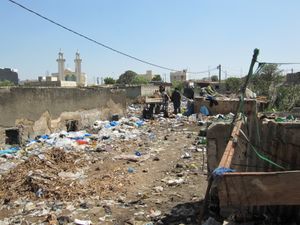Sale Sénégal : le reveil de quelques uns