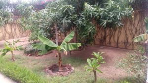 Un week end à Saly
