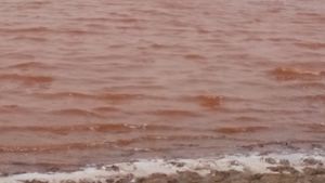 Le lac rose