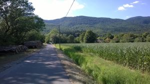 13-14 juillet 2015 - Sorties post-taf, jambes en carton