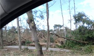 Devastazione in Versilia!