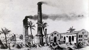Découverte de Saint Pierre de la Réunion