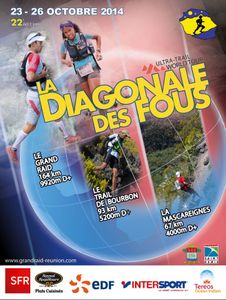 affiche diagonale des fous