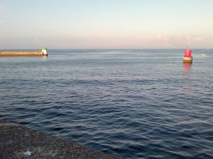 Entre le filet et l’assiette de poisson, le rôle du mareyeur