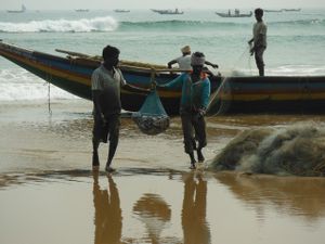 Pêcheurs de tous les pays, mareyeurs de toutes les nations