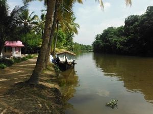 Premiers pas dans le Kerala