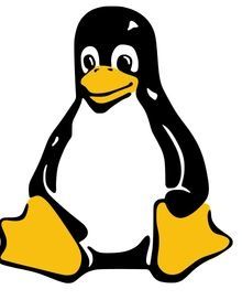 D.A.B. le choix Linux ...
