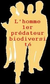 L'homme, une espèce prédatrice sous-estimée (Le Monde 22-5-2013)