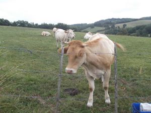 Agro-écologie et environnement sont-ils devenus des gros mots ? par FNE