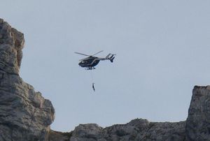 Le Conseil National de la Protection de la Nature bafoué: le massacre des bouquetins du Bargy autorisé par le préfet (comme le CNPN désavoué pour la déviation du Taillan autorisée par le préfet malgré la présence d'espèces protégées et en voie de disparition) Urgent Pétition Bouquetin