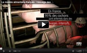 Histoire de porcherie, Enquête publique pour une extension de porcherie industrielle à St Symphorien, rapport de Naturjalles