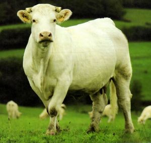A propos des pesticides: 68% des français estiment que l’Etat n’en fait pas assez pour garantir une agriculture et une alimentation de qualité par Generations Futures