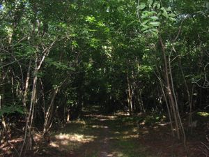 Démonstration est faite: nos élus et leur indifférence pour la NATURE et les espaces naturels!Se félicitant du reclassement du Domaine du Bourdieu site inscrit en zone soit disant naturelle mais pouvant accueillir des "équipements d'intérêt collectif"!