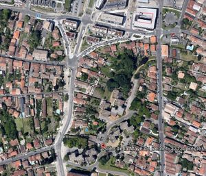 Même à Bègles, ville "écolo" on sacrifie les arbres: un collectif se bat pour conserver un "petit bois"!