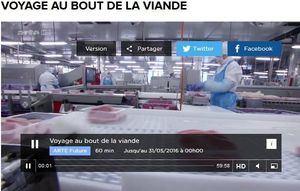En ces temps de crise de l'élevage pas assez intensif? Voici "Voyage au bout de la viande" ou la face cachée d'une production effrénée (accompagné de divers documentaires)