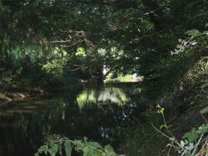 Il faut restaurer les Jalles, St Médard ne serait pas concerné par le programme d'action de prévention des inondations ou PAPI quant au SIJALAG il disparaitrait pour devenir une nouvelle compétence de la métropole