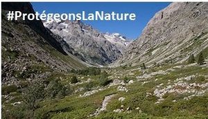 Écologie punitive contre les loups : Soutenue par des dizaines de personnalités, l’ASPAS en appelle à l’Europe : Signer la pétition pour une vraie protection de la nature!