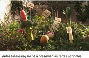 Initié par Filière Paysanne, le premier "Manifeste citoyen pour la sauvegarde des terres agricoles et du climat", lancé le 5 décembre dernier à l'occasion de la journée mondiale des sols...Aider la filière paysanne en signant leManifeste !