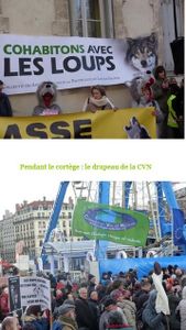 Où est l’écologie ?
