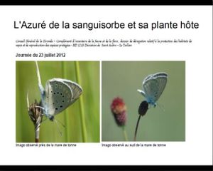 Loi sur la biodiversité : quels sont les enjeux ?