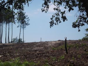 Artificialisation des sols et Centrales photovoltaïques au sol: Rapport de Naturjalles enquête publique St Laurent du Médoc