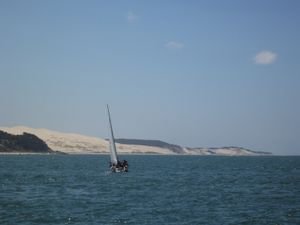 Qu'en est-il de l'état écologique du Bassin d'Arcachon, notre nouveau parc marin quant aux pollutions diverses et variées qui se déversent chaque jour dans le milieu marin?