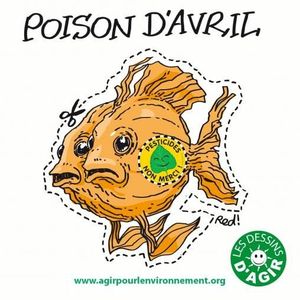 Bordeaux : des résidus de pesticides interdits depuis 1972 retrouvés dans des courgettes