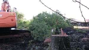Des ignares ont failli condamner à mort 3 magnifiques chênes, c'était ce matin rue Koch à St Médard! Naturjalles réitère sa demande afin que l'abattage des arbres ne soit plus pratiqué en période de reproduction des oiseaux!
