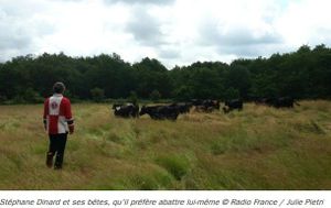 Pour des abattoirs à la ferme...Redonner du sens à la mort de l'animal (lien sur l'abattoir de Bazas pas toujours conforme)