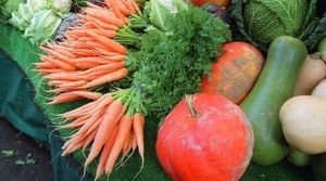 Des pesticides à la pollution de l'air : 8 conseils pour se désintoxiquer