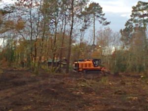 C'est beau la nature! Pour nous convaincre, St Médard en Jalles publie un guide de gestion des espaces VERTS pour préserver et favoriser la biodiversité! Et pendant ce temps tombent les arbres!