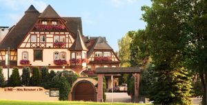 Route des vins d'Alsace, Obernai, Ribeauvillé, Colmar...