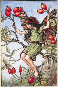 Les histoires du mercredi : Fées et sorcières