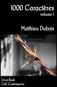 Sorties du 27 décembre 2013 chez L'ivre-Book