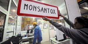Action directe contre Monsanto!