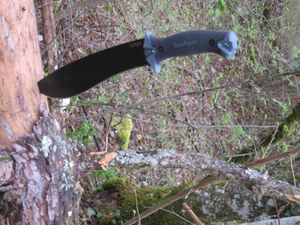 Test Couteau Kershaw Camp 10