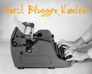 BLOGGEUR (EUSE) RECHERCHÉ (E)