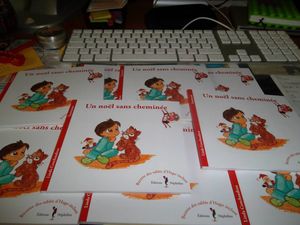 Salon du Livre de l'île de Noirmoutier