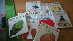 Livres pour Bébé : La collection Mes Premières Découvertes, de Gallimard, vous connaissez ?