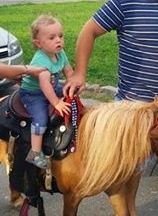 Le cheval, ma nouvelle passion de Bébé