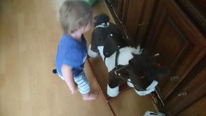 Le cheval, ma nouvelle passion de Bébé