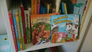 Bébé bilingue : Mythe ou réalité ?