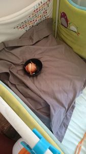 Toux, nez bouché : mon remède efficace et naturel pour les nuits de bébé